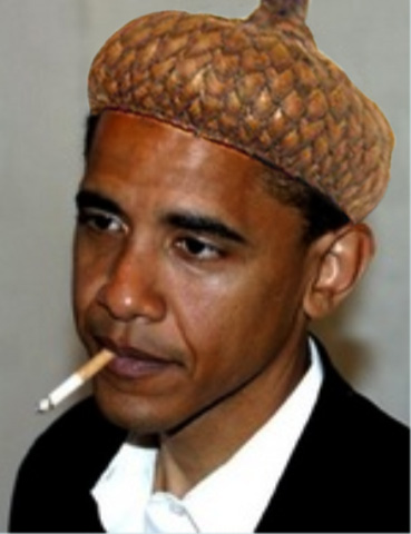 http://a4cgr.files.wordpress.com/2010/02/obama-acorn-head.jpg