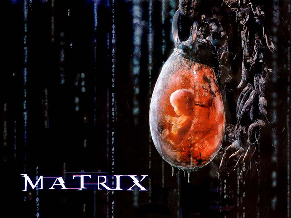 Matrix-PodGrown