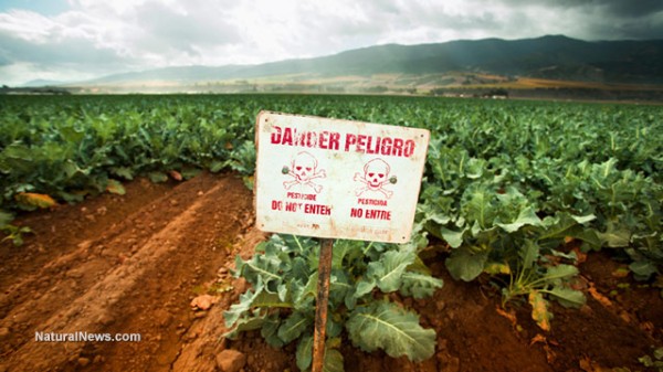 Danger-Sign-Crops-Farm-Soil-GMO-Pesticides